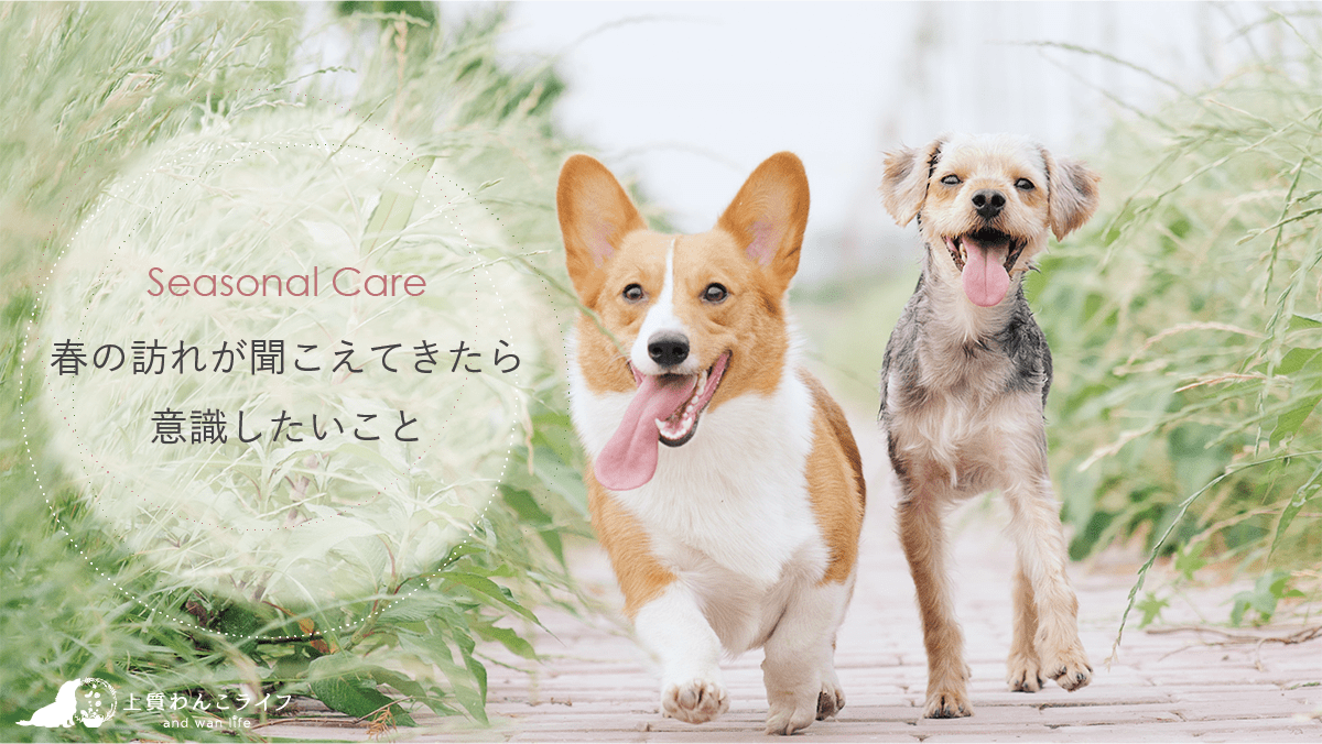 seasonal care：春に向けたカラダのケア