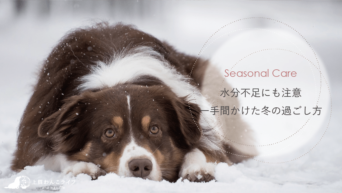 seasonal care：一手間の工夫。冬の過ごし方