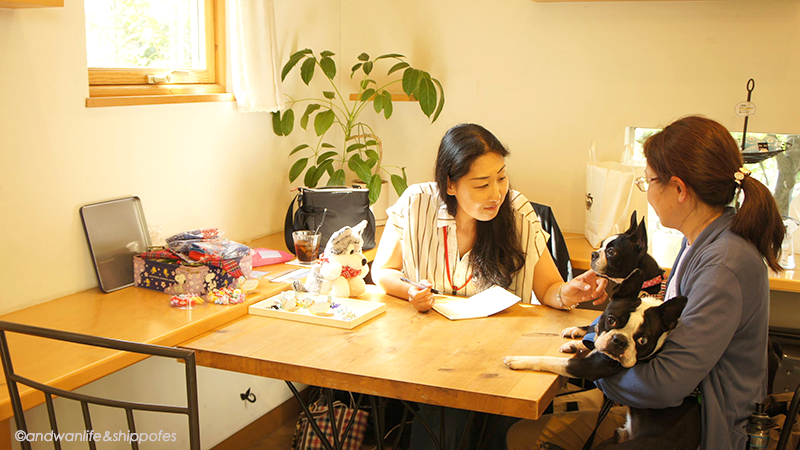 《しっぽ祭 出展者紹介》DOG DAY'S